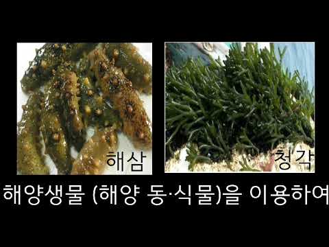 2018년도 해양생물소재화학실험실 소개 UCC 대표이미지