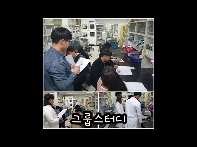 2019년도 식품위생학미생물 실험실 소개 UCC 대표이미지