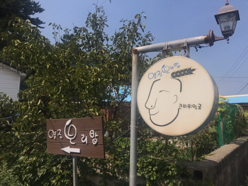 영*보리밥 대표이미지